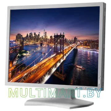 Монитор NEC MultiSync P212 black картинка 2